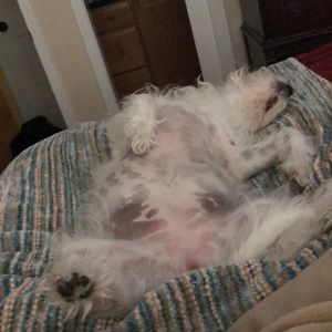 Meet your Posher, Baruch